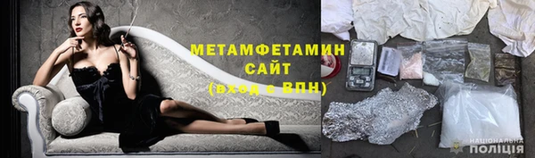 шишки Гусев