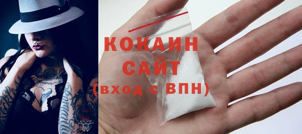 шишки Гусев