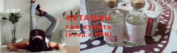 шишки Гусев