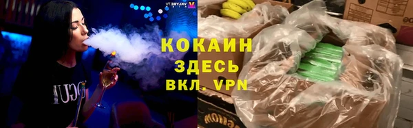 шишки Гусев