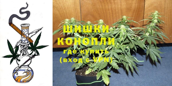 шишки Гусев