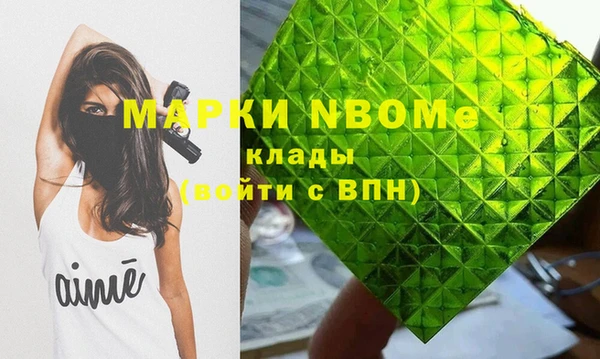 шишки Гусев
