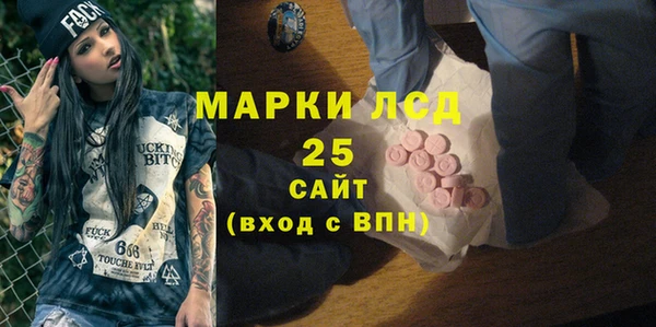 шишки Гусев