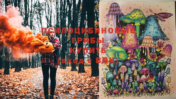 шишки Гусев