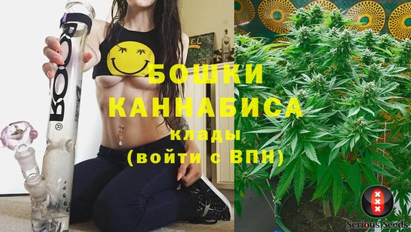 стафф Шадринск