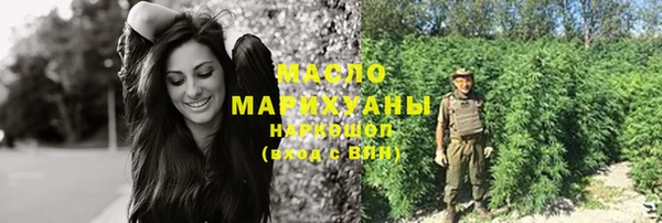 шишки Гусев