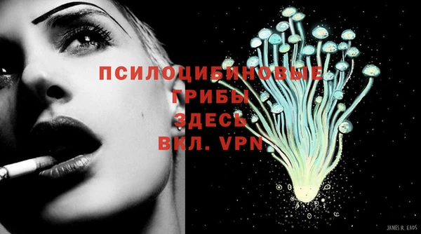 шишки Гусев
