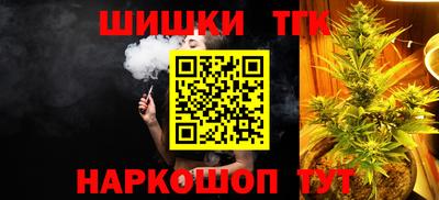 индика Абакан