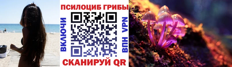 Галлюциногенные грибы мицелий  Минеральные Воды 