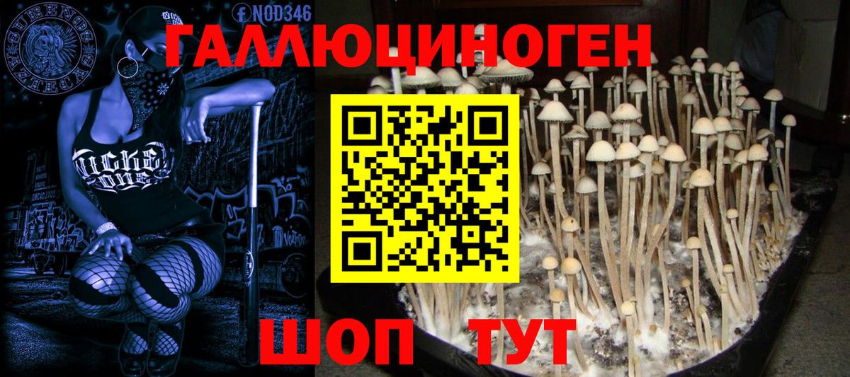 Галлюциногенные грибы прущие грибы  Вход с VPN  Минеральные Воды 