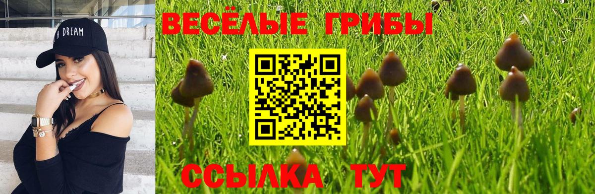 Alpha-PVP СК кристаллы  ЭКСТАЗИ  Минеральные Воды  МЕФ кристаллы  Гашиш  Вход с VPN  АМФ кристаллы  Каннабис 