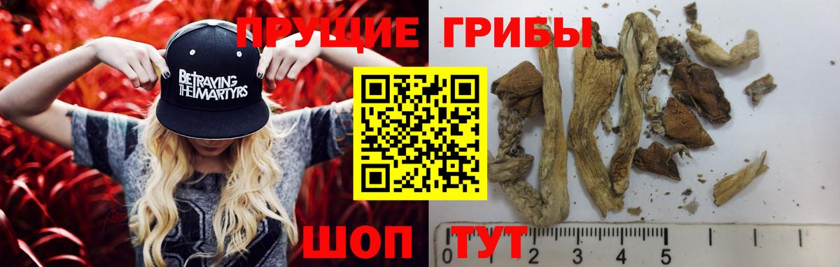 Галлюциногенные грибы мухоморы Минеральные Воды
