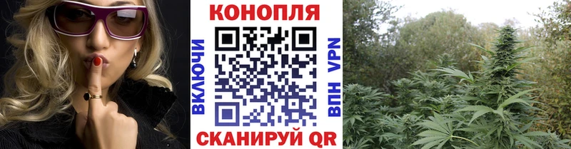 Бошки марихуана индика  Минеральные Воды 
